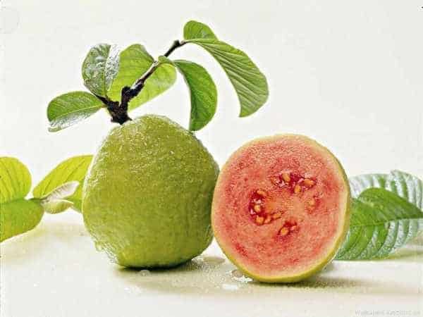 Juicy Guava e-Liquid Vape