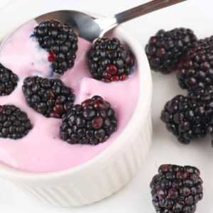 Boysenberry Greek Yogurt e-Liquid