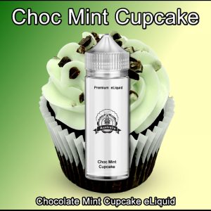Choc Mint Cupcake